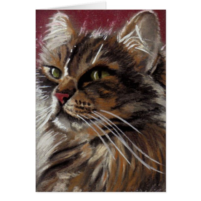 Magnifique Dreamer - Maine Coon Cat Card (Devant)