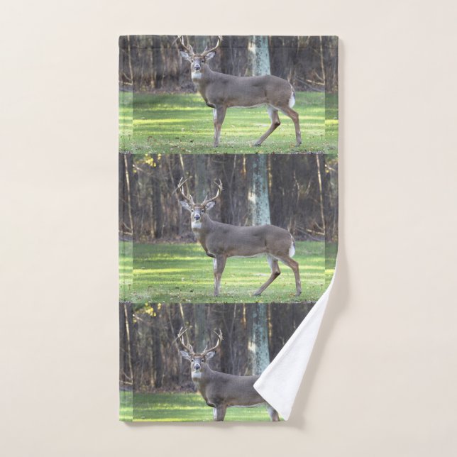 Magnifique Ensemble De Serviettes De Bain Buck (Serviette à main)