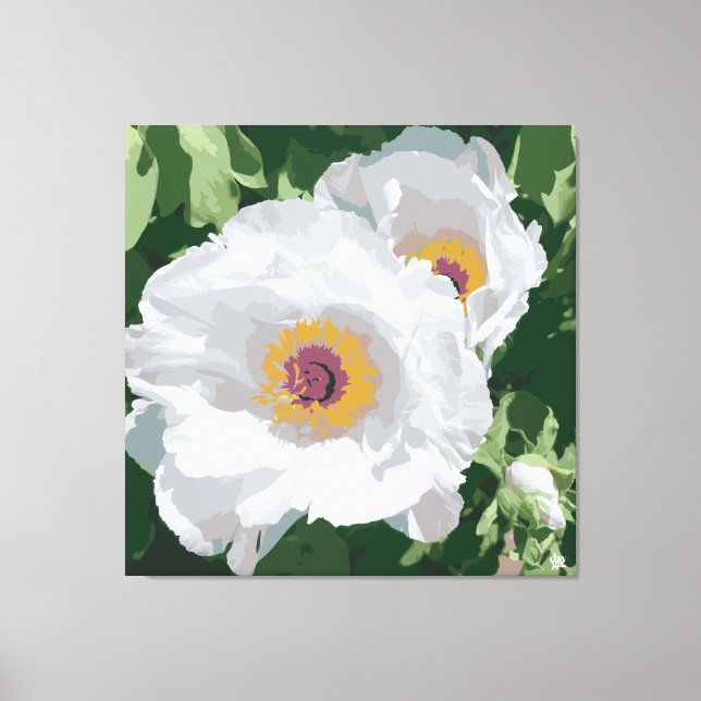 Magnifique pivoine blanche sur toile (Recto)