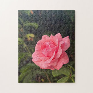 magnifique puzzle de rose