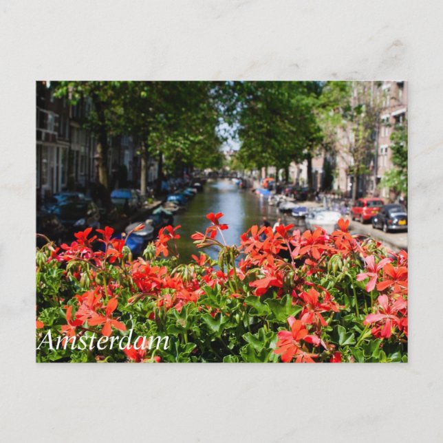 Magnifique vue sur le canal d'Amsterdam Carte post (Devant)