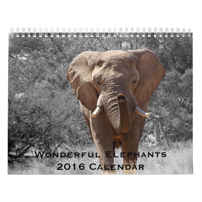 Magnifiques Eléphants Calendrier 2016 (Protection)
