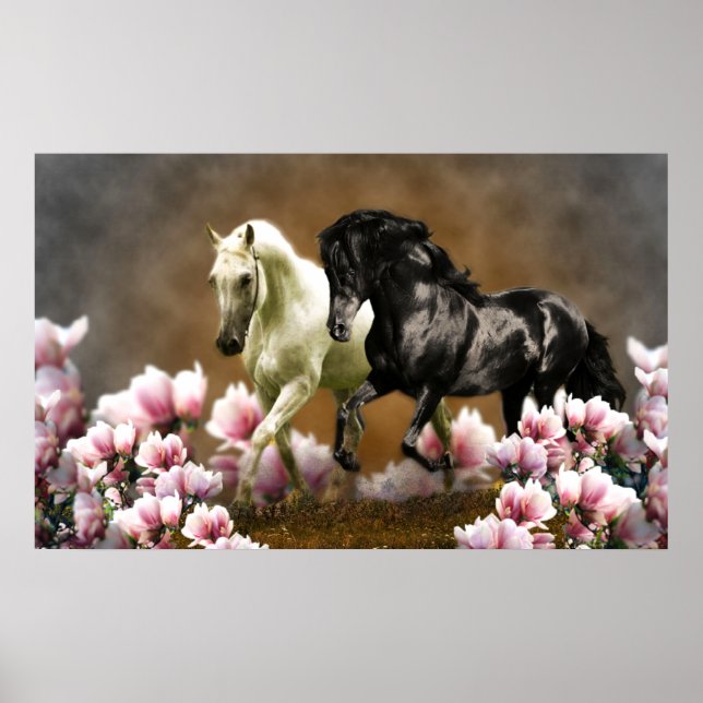 Magnolia Alley - Affiche (Devant)