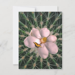 Magnolia Art Postkarte