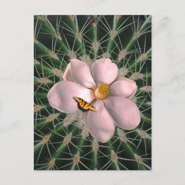 Magnolia Art Postkarte (Vorderseite)