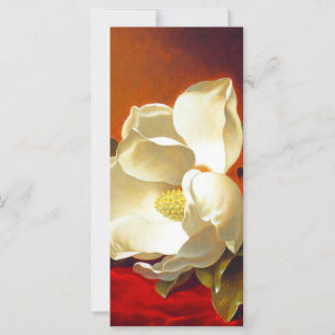 Magnolia auf der Red Velvet Martin Johnson Heade C