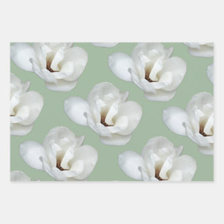 Magnolia auf Grün Geschenkpapier Set