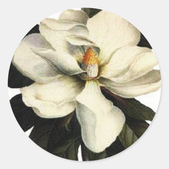 Magnolia - Aufkleber (Vorderseite)