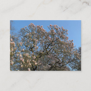 Magnolia Bäume in Blossom Visitenkarte