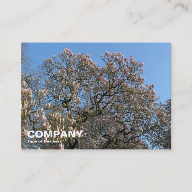 Magnolia Bäume in Blossom Visitenkarte (Vorderseite)