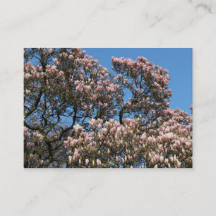 Magnolia Bäume in Blossom Visitenkarte