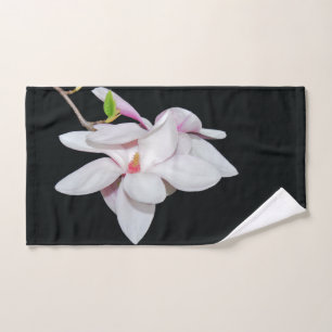Magnolia blanc