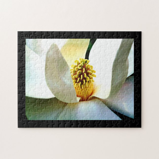 Magnolia Bloom Macro (Horizontal)