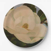 Magnolia Bloom