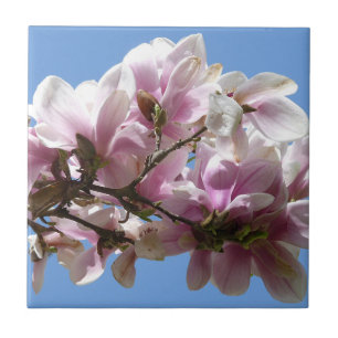 Magnolia Blossom Fliese