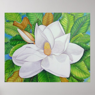 Magnolia Blossom Poster