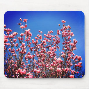 Magnolia Blossoms Blue Sky Blume Mousepad