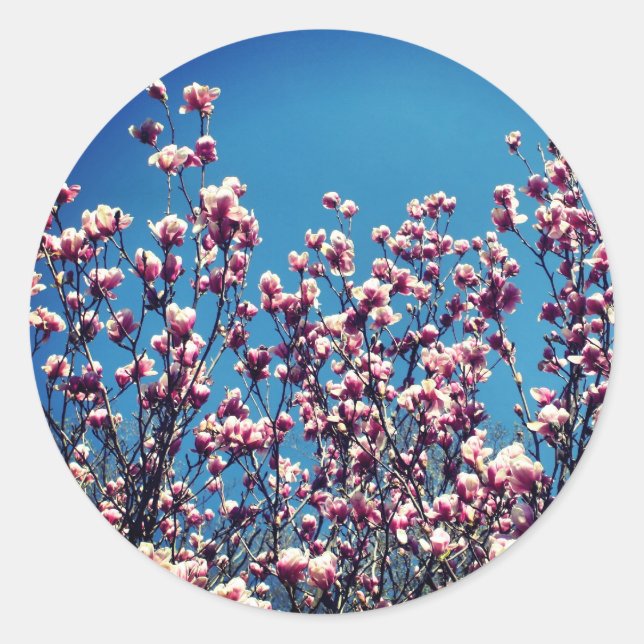 Magnolia Blume Blue Sky Runder Aufkleber (Vorderseite)