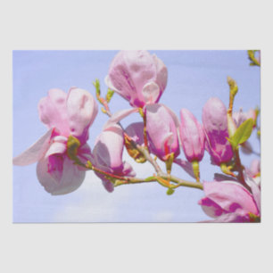 Magnolia Blume Botanischer Blumenkohl Chic Seidenpapier