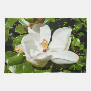 Magnolia-Blume Geschirrtuch