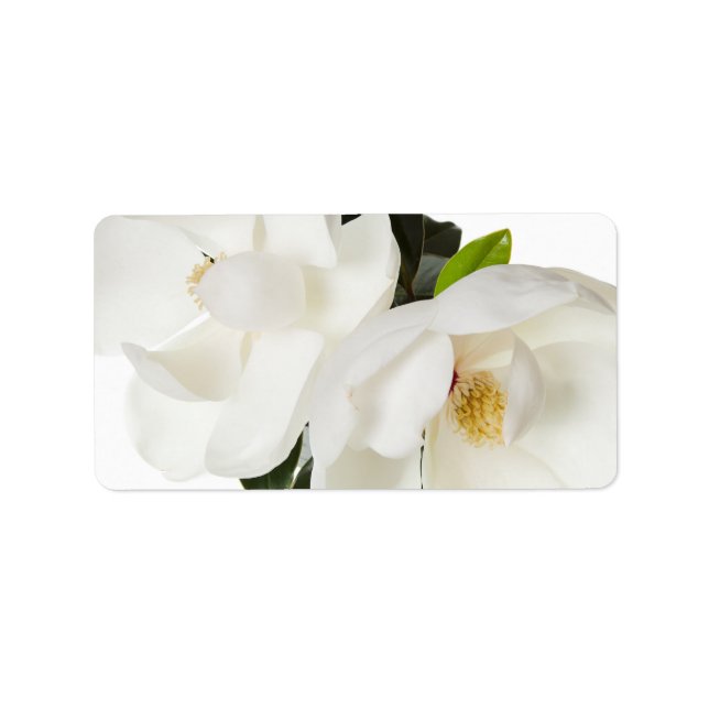 Magnolia Blume Magnolias Blume Adressaufkleber (Vorne)