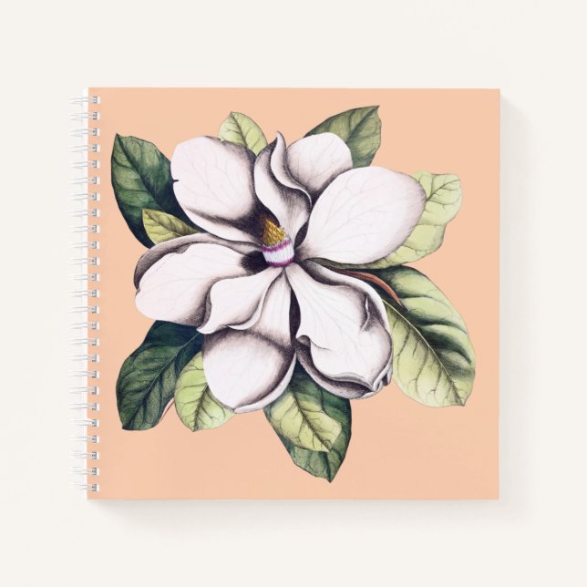 Magnolia-Blume Notizbuch (Vorderseite)