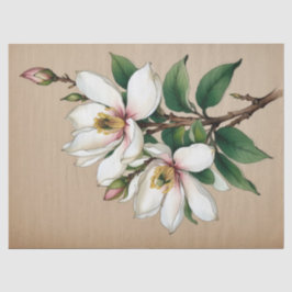 Magnolia-Blume Seidenpapier