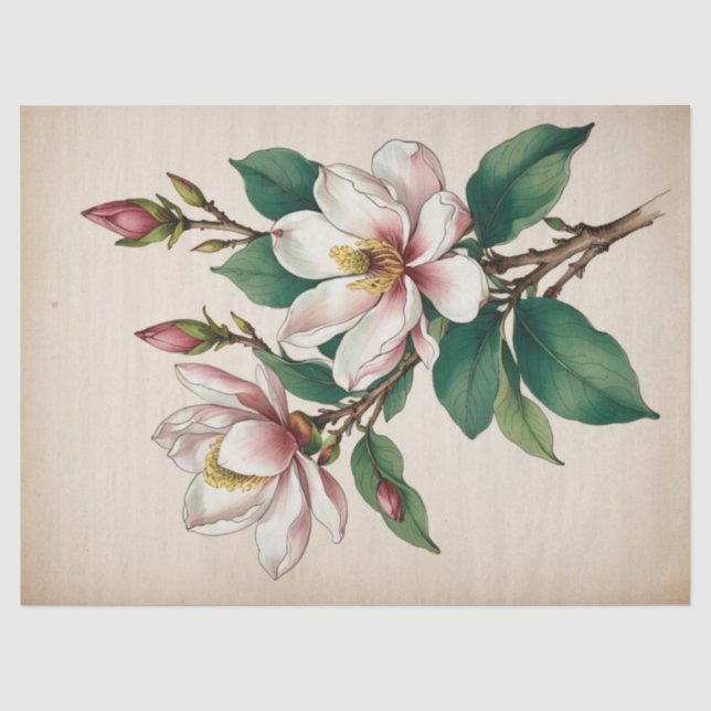 Magnolia-Blume Seidenpapier (Vorderseite)