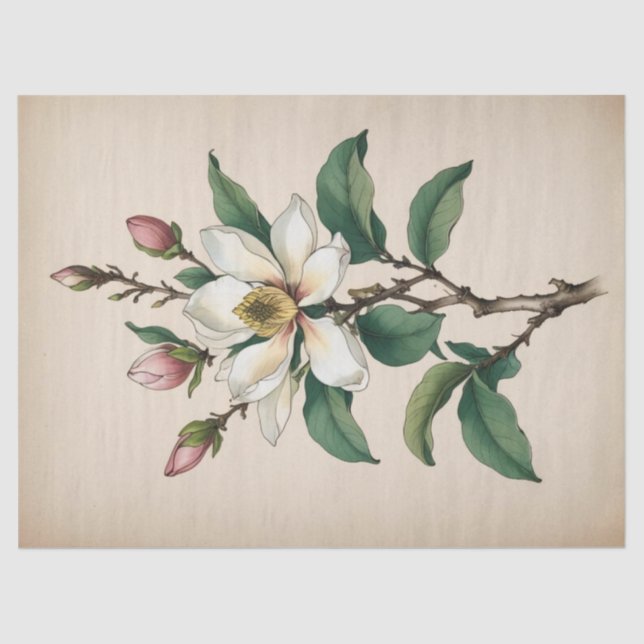 Magnolia-Blume Seidenpapier (Vorderseite)