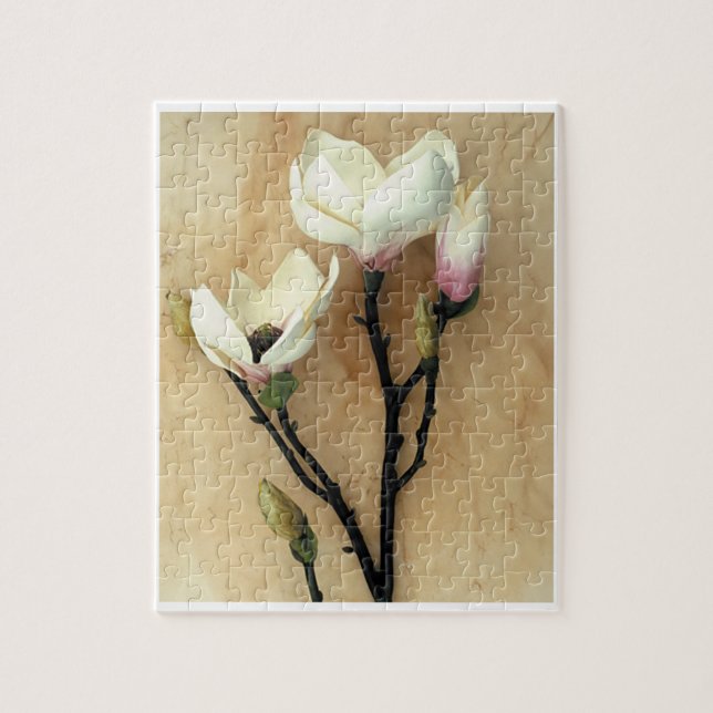Magnolia-Blume über Parchment Moderne Fotografie (Vertikal)