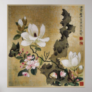 Magnolia-Blume und Butterfly-Ming-Dynastie Poster