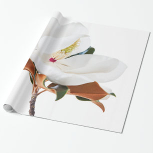 Magnolia Blume Weiße Magnolias Blütenblütenblü Geschenkpapier
