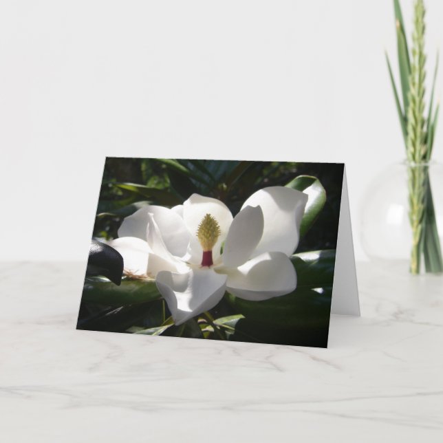 Magnolia Blumenfotografie Grußkarte Kunst Karte (Vorderseite)