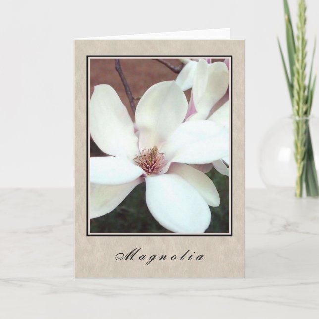 Magnolia - Blumenserie Karte (Vorderseite)