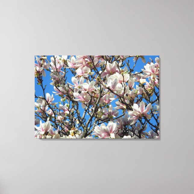 Magnolia Blüten / Blauer Himmel gezackte Canvas Pr Leinwanddruck (Vorderseite)