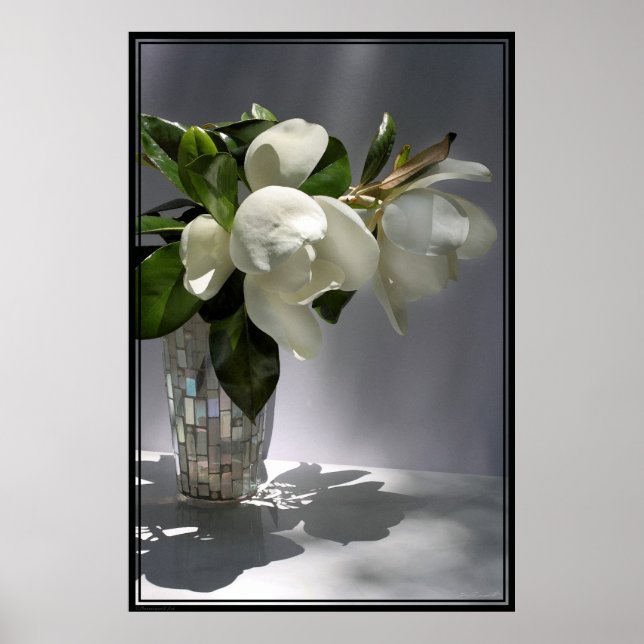 Magnolia Bouquet Poster -40x60 -andere Größen auch (Vorne)