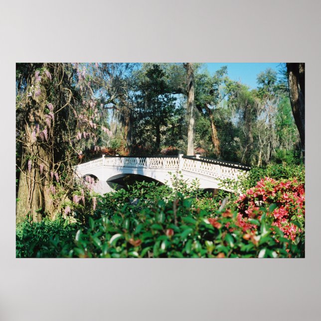 Magnolia-Brücke Poster (Vorne)