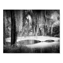 Magnolia-Brücke