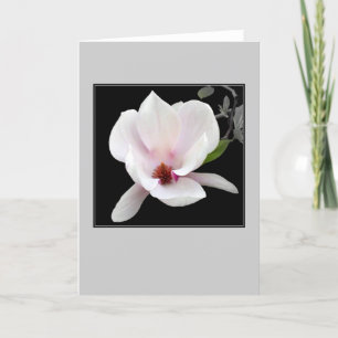 "Magnolia carte de note de blanc en fleur"