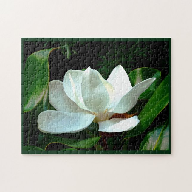 Magnolia Closeup (Horizontal)