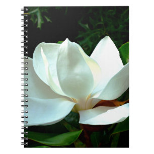 Magnolia Closeup Notizblock