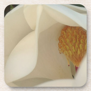 Magnolia Floral Fine Art Fotograf Untersetzer