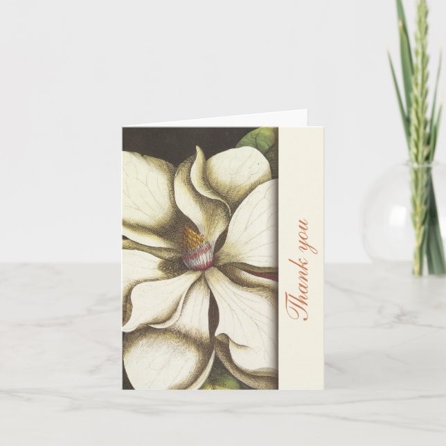 Magnolia Floral Vielen Dank Anmerkungen Dankeskarte (Vorderseite)