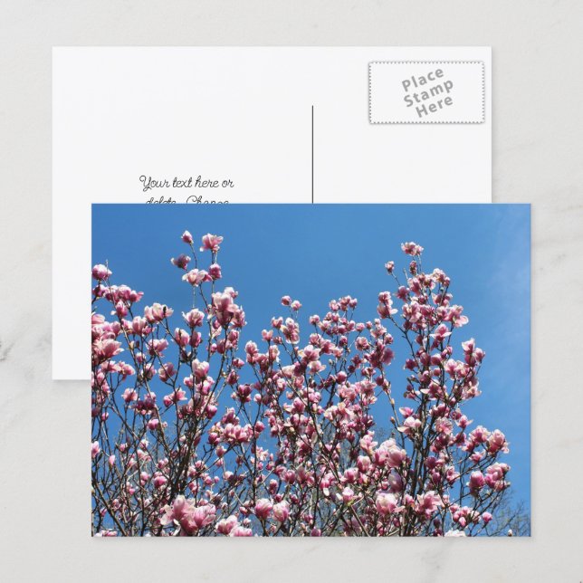 Magnolia Flowers Blue Sky Personalized Postkarte (Vorne/Hinten)