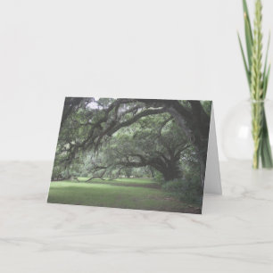 Magnolia Gardens Live Oak Bäume Blank Karte
