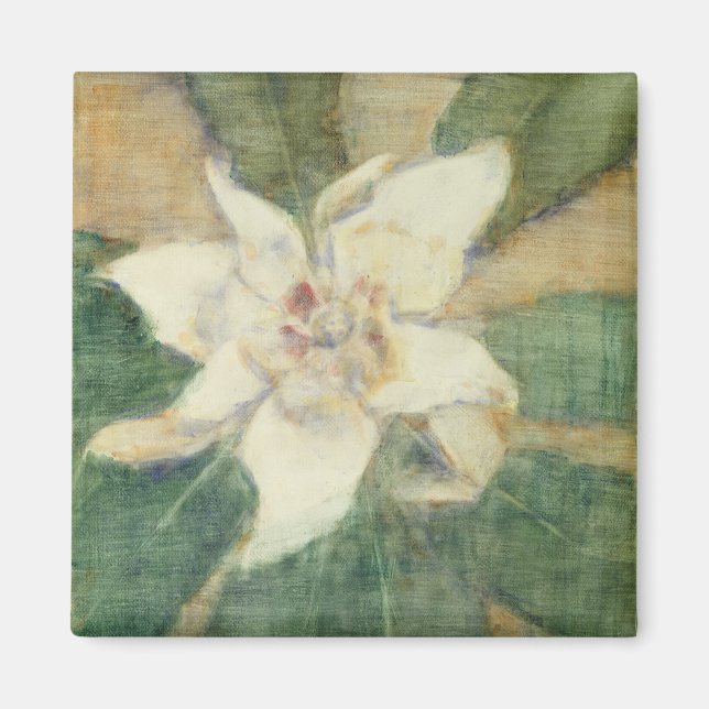 Magnolia Grandiflora Magnet (Vorne)