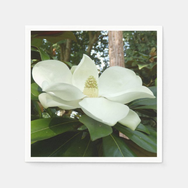 Magnolia Grandiflora Papa Napkins Serviette (Vorderseite)