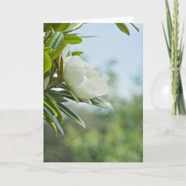 MAGNOLIA GREETING CARD KARTE (Vorderseite)