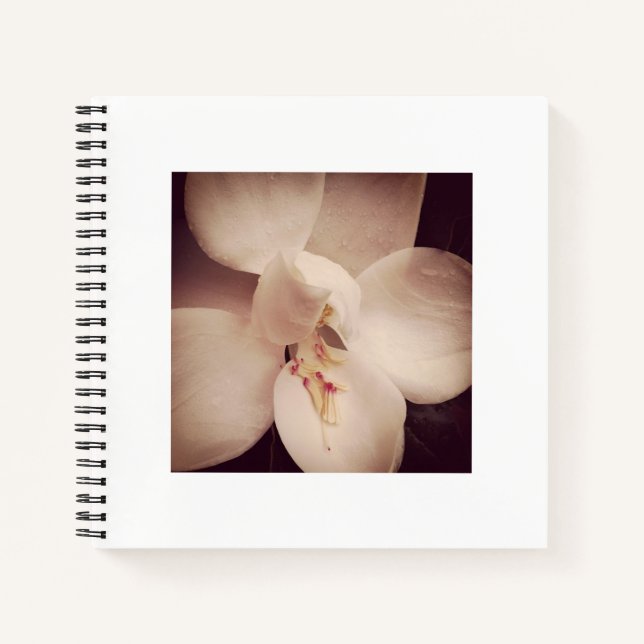 Magnolia Journal Notizbuch (Vorderseite)