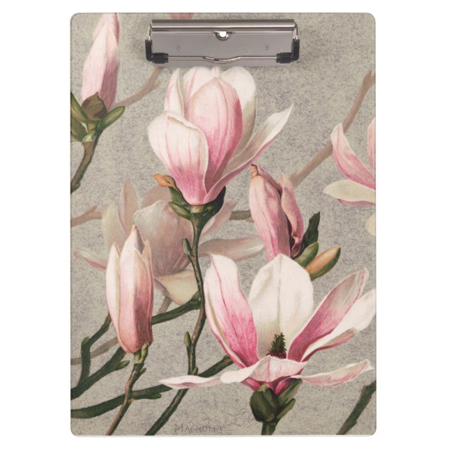 Magnolia - L. Prang & Co  Klemmbrett (Vorderseite)
